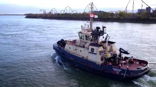 Svitzer in Montreal [upl. by Ytsenoh286]