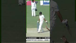 New Zealand All Fall of Wickets PAKvNZ SportsCentral Shorts PCB M8C2k [upl. by Walczak779]