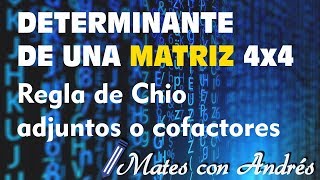 Determinante de una matriz 4x4 Regla de Chio adjuntos o cofactores [upl. by Misaq766]