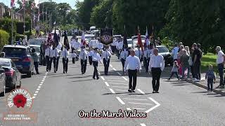 Lambeg Orange amp Blue  North Down Defenders Parade 2024 [upl. by Halsey]