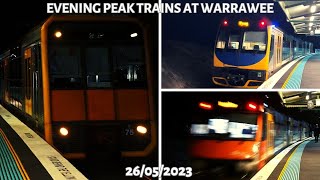 Evening Peak Trains At Warrawee [upl. by Foley]