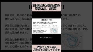 【胸郭上口、静脈洞について】頭蓋仙骨療法に必要な知識、胸郭上口を構成するもの、通るもの [upl. by Eralcyram]