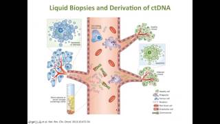 Utilization of NGS to Identify Mutations in cfDNA Meet the NGS Experts Series Part 3 [upl. by Ayotas]