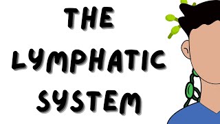 The Lymphatic System explained in 5 minutes  Lymph Vessels  Lymph Ducts  Lymph Nodes  Animation [upl. by Sulecram823]