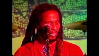 Ziggy Marley live Shalom Salaam amp Melancholy Mood [upl. by Sandell]