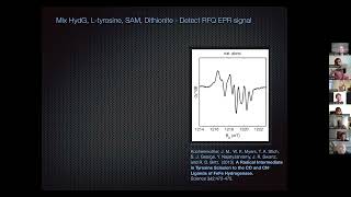 Hydrogenase Lectures 2022 Episode 3 Part 1 Dave Britt [upl. by Merrily]