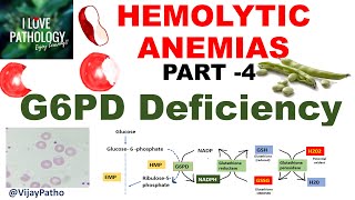 Hemolytic Anemias Part 4 G6PD Deficiency PathophysiologyMorphology clinical features [upl. by Gnuy]