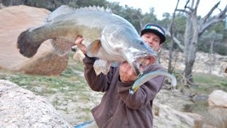 BIG Gorge Country Murray Cod on the Last day [upl. by Derinna]