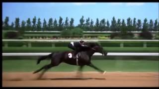 The Black Stallion final race [upl. by Peace]