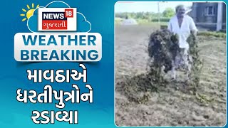 Gir Somnath Rain  માવઠાએ ધરતીપુત્રોને રડાવ્યા  Heavy Rain  Unseasonal Rain  Crop Damage  News18 [upl. by Holder546]