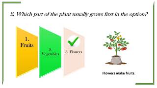 Kids GK simple test about plants [upl. by Brynne]