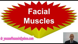 Muscles of Face  Orbicularis oculi  Orbicularis oris  Buccinator  Muscles of facial expression [upl. by Seroka]