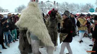 Capra si ursii datini si obiceiuri Goats and bears traditions and customs Piatra Neamt Romania [upl. by Birgitta]