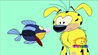 marsupilami malayalam cartoon KOCHU TV kids [upl. by Lenneuq]