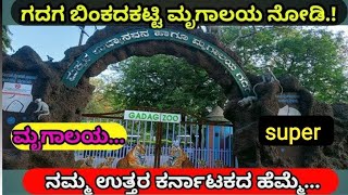 A day tour to Gadag Binkadakatte Zoo with family Must visit place with family👌 [upl. by Gavriella]