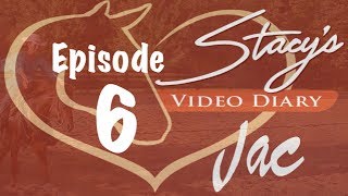 Stacys Video Diary Jac Episode 6Third Day Part 2 Horse Understanding training vs being bored [upl. by Eziechiele856]