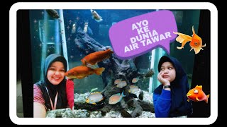 342 淡水魚を集めた世界で2番目に大きな水族館 AYO KE DUNIA AIR TAWAR DI TMII [upl. by Elrak35]