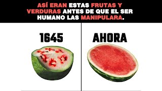 🍌🍉Así eran estas FRUTAS y VERDURAS🌽🥑 antes de que el ser Humano las Manipulara 😲 [upl. by Oratnek732]