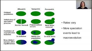 Speciation and macroevolution Part 2 [upl. by Wulfe]