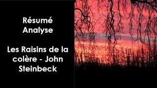 quotLes Raisins de la colèrequot de John Steinbeck [upl. by Aitas]