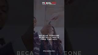 Harvesting Success The Seeds You Plant Today Shape Your Tomorrow  Trisol RED [upl. by Mich]