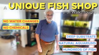 A Fish Store of Natural Aquariums AQUARIUM [upl. by Pillsbury]