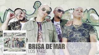 LOS YAKIS  BRISA DEL MAR [upl. by Ityak]