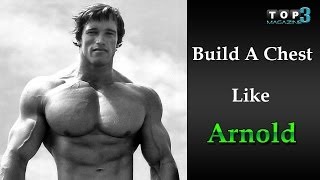 BODYBUILDING  Chest Workouts  Arnold Schwarzenegger [upl. by Lien]