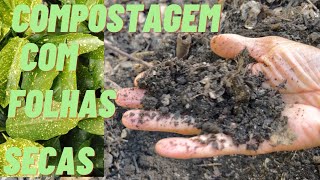 Compostagem com folhas secas maneira simples [upl. by Chui]