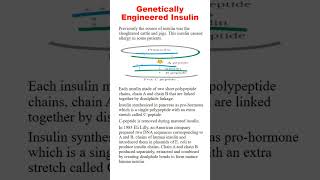 GENETICALLY ENGINEERED INSULIN  CH 11 BIOTECHNOLOGY SHORTS BIOLOGY NCERT NEET [upl. by Adidnere188]