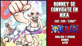 ONE PIECE 2024 Analisis y Opinión Cap 1118  2 NIKAS VS EL GOROSEI onepiece1119 [upl. by Irving]