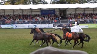 Hengstparade Neustadt Dosse [upl. by Bergwall]