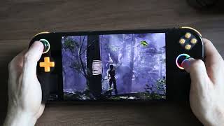 Orange Pi Neo  Gameplay  Tomb Raider 2013  TDP 15 [upl. by Noryk672]