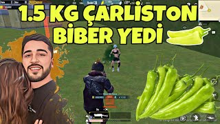 BİBERCİ GEBLO 15 KİLO DEV GİBİ ÇARLİSTON BİBER YEDİRDİ PUBG MOBİLE [upl. by Sillad]