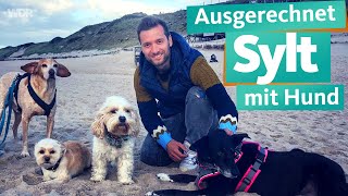 Ausgerechnet Sylt mit Hund  WDR Reisen [upl. by Monaco]