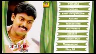 Hits Of Vidhu Prathap Vol2  Romantic Album  Malayalam [upl. by Fedora]