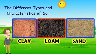 Types of Soils [upl. by Acnayb]