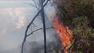 Incendios forestales continúan en medio de una sequía en NJ [upl. by Kurr]