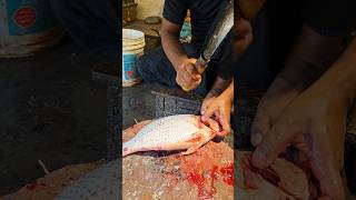 Amazing Tilapia Fish Cutting Skills In Bangladesh Local Fish Market By Expert Cutter shorts [upl. by Llerrut]