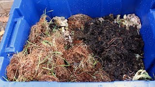 How to Make a Worm Bin  Easy DIY Worm Farm [upl. by Chancelor]