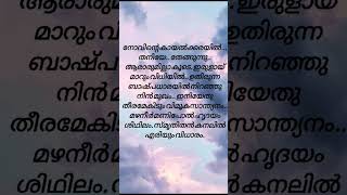 novinte song lyrics lyricsvideo [upl. by Ahsekyw]