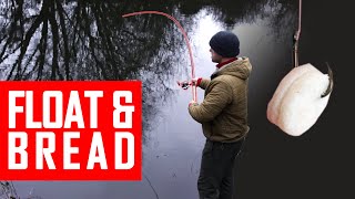 Stacking river fish on basic float and bread tactics Trent Roach Chub Bream fishing on waggler [upl. by Ociral868]