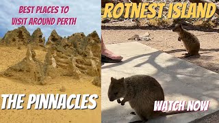 Perth part 3 Rottnest Island Yanchep National Park and the Pinnacles [upl. by Hayward]