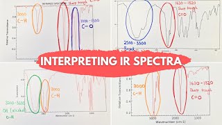 Interpreting IR Spectra  4 Common Examples Explained [upl. by Arten]