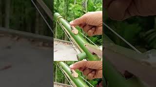 bamboo creation mambo amazing art videodiy bamboo BambooAmezingArt [upl. by Maddi]