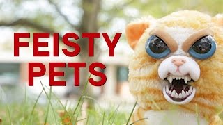 Feisty Pets from ThinkGeek [upl. by Llewxam284]