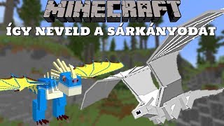 Minecraft Így Neveld A Sárkányodat  Mod Bemutató [upl. by Resor]