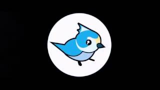 Titmouse logo [upl. by Aztiraj]