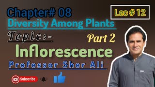 Inflorescences part 2  chapter 8th by Sher Ali sir Professorwallah4889 [upl. by O'Hara825]