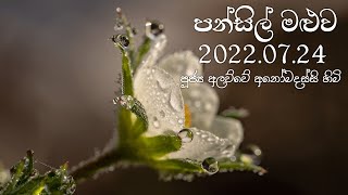 පන්සිල් මළුව  පූජ්‍ය අලව්වේ අනෝමදස්සි හිමි  Pansil Maluwa 20220724 [upl. by Ahsekan]